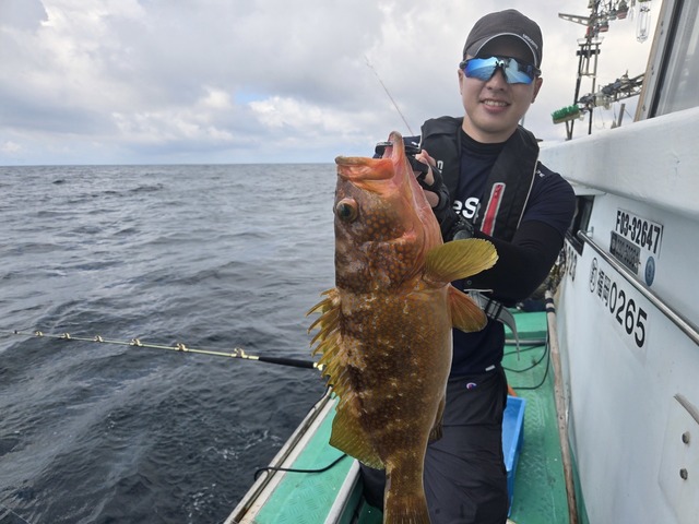 アコウ(キジハタ)