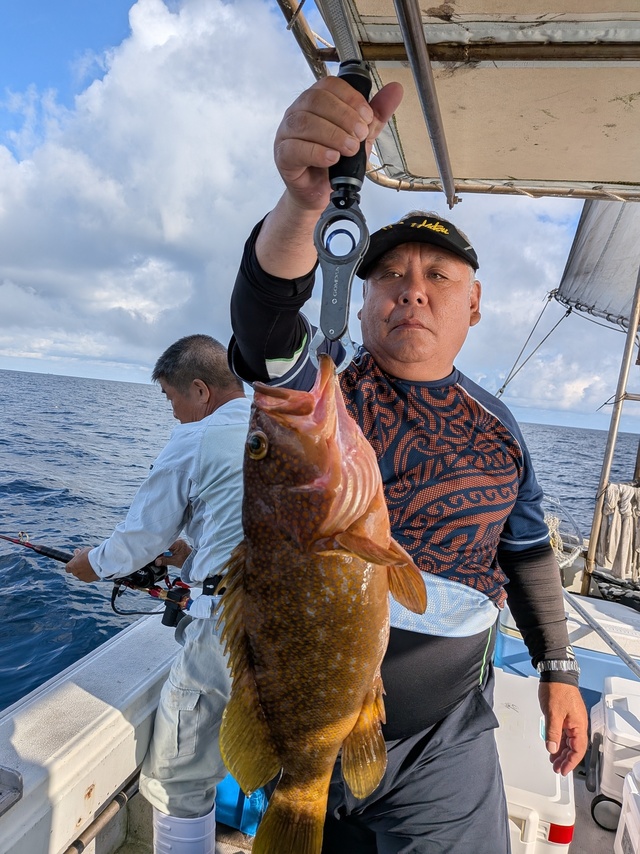 アコウ(キジハタ)