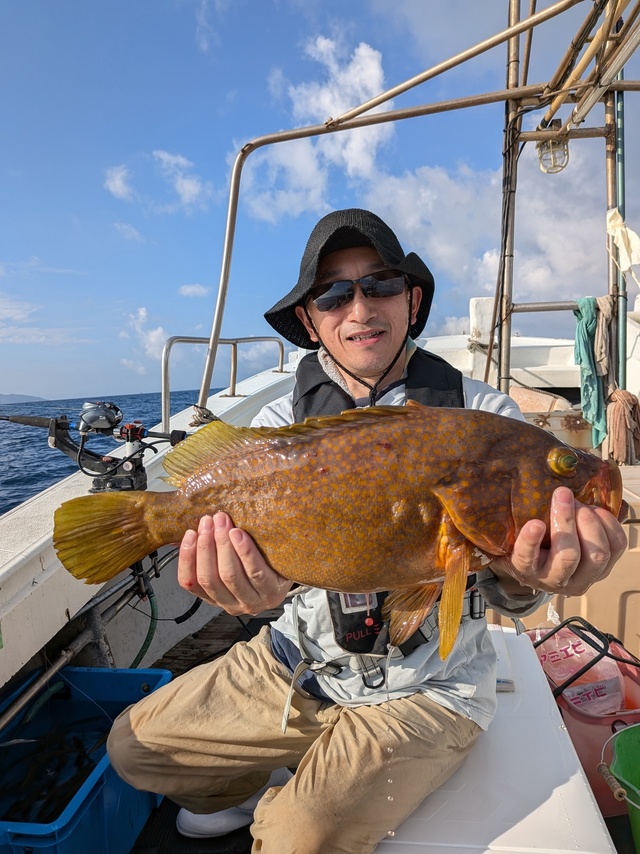 アコウ(キジハタ)