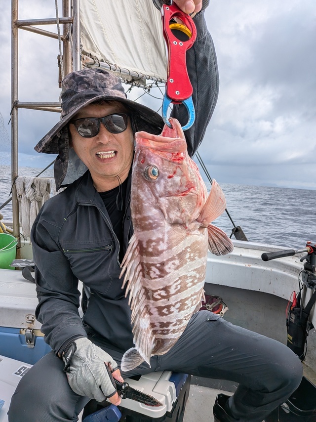 タカバ(マハタ)