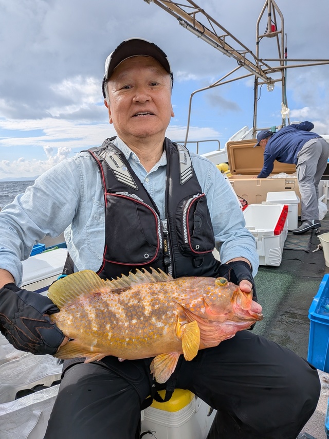 アコウ(キジハタ)