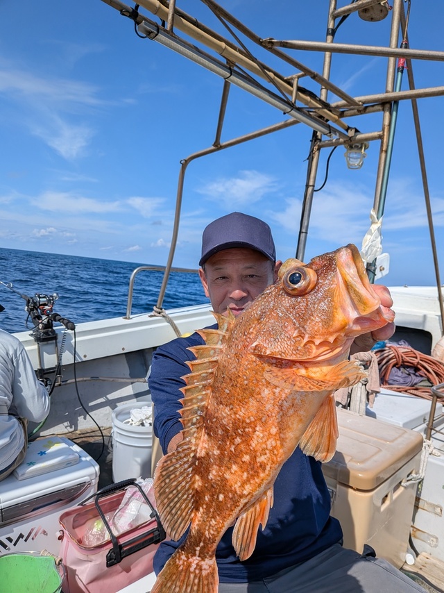 アラカブ(カサゴ)