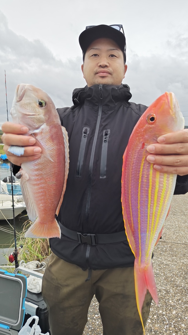 イトヨリ(イトヨリダイ)