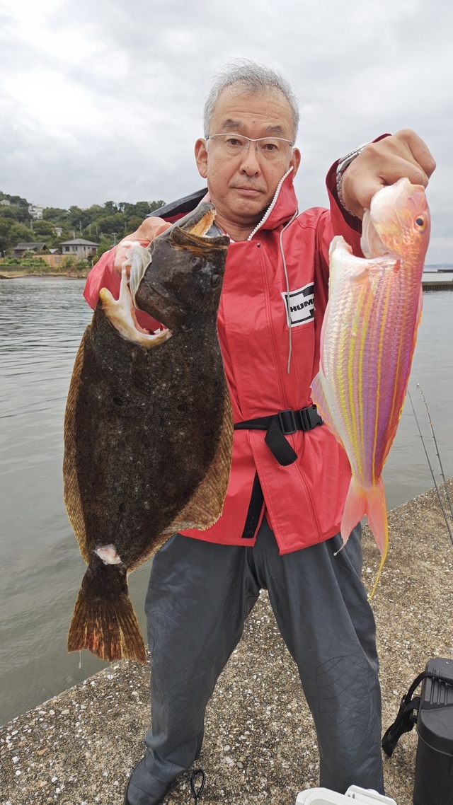 イトヨリ(イトヨリダイ)