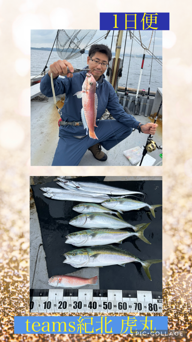 ハマチ(ブリ)・メジロ(ブリ)・シロアマダイ・タチウオ