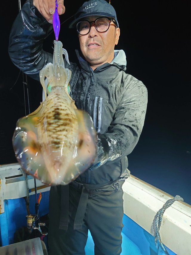 アオリ(アオリイカ)