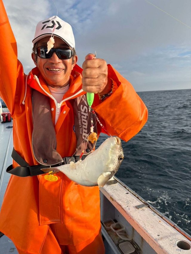 ショウサイフグ