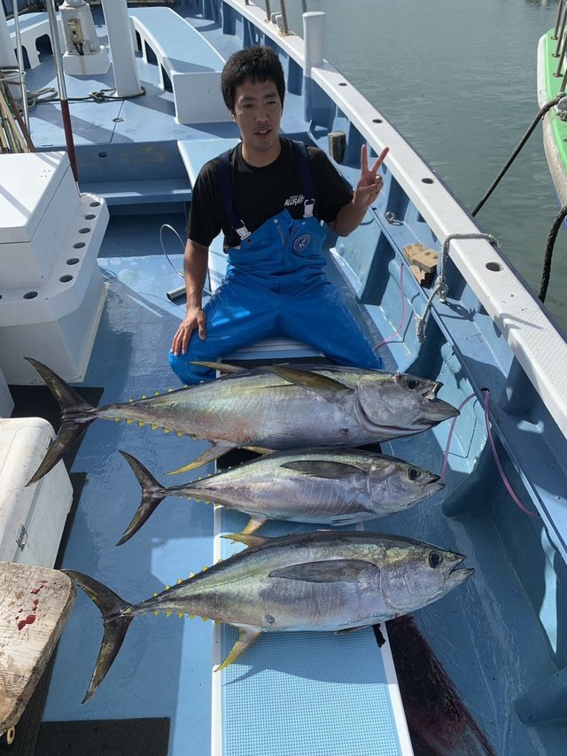 キハダマグロ(キハダ)