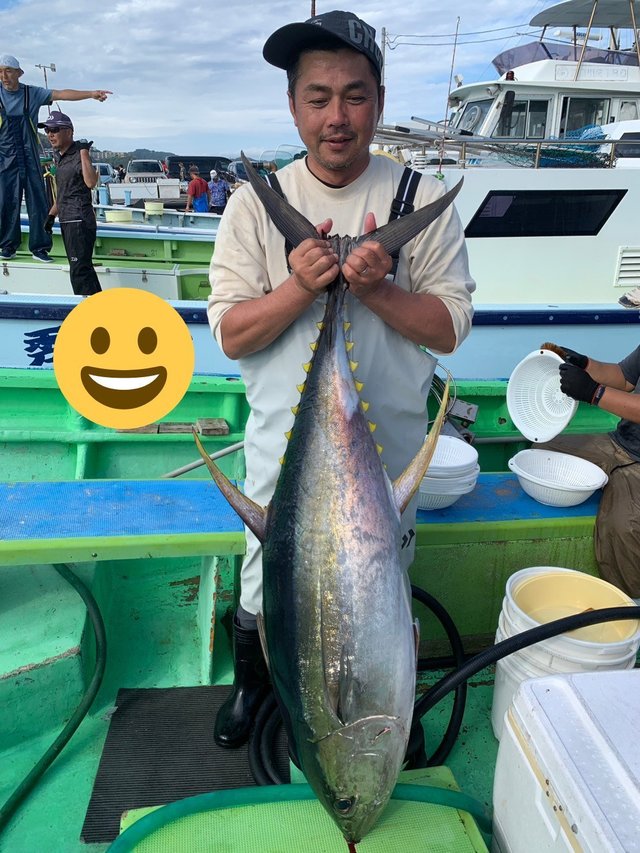 キハダマグロ(キハダ)