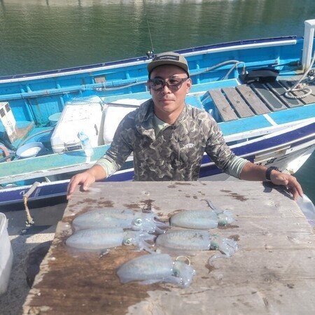 アオリ(アオリイカ)