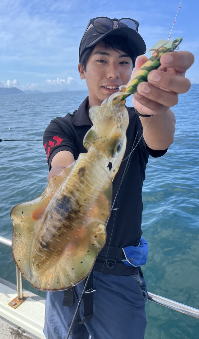 イカ(アオリイカ)