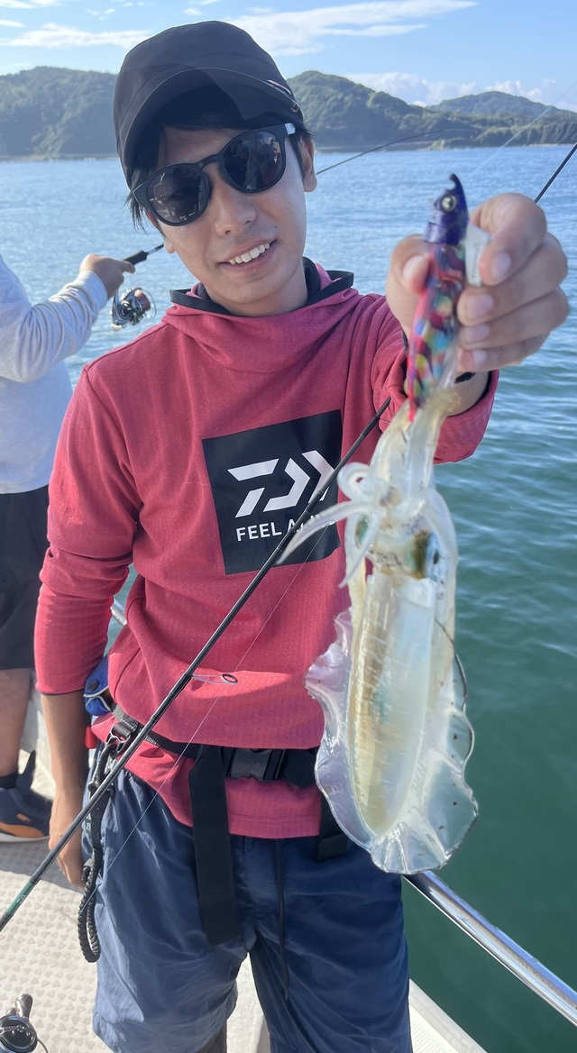 イカ(アオリイカ)