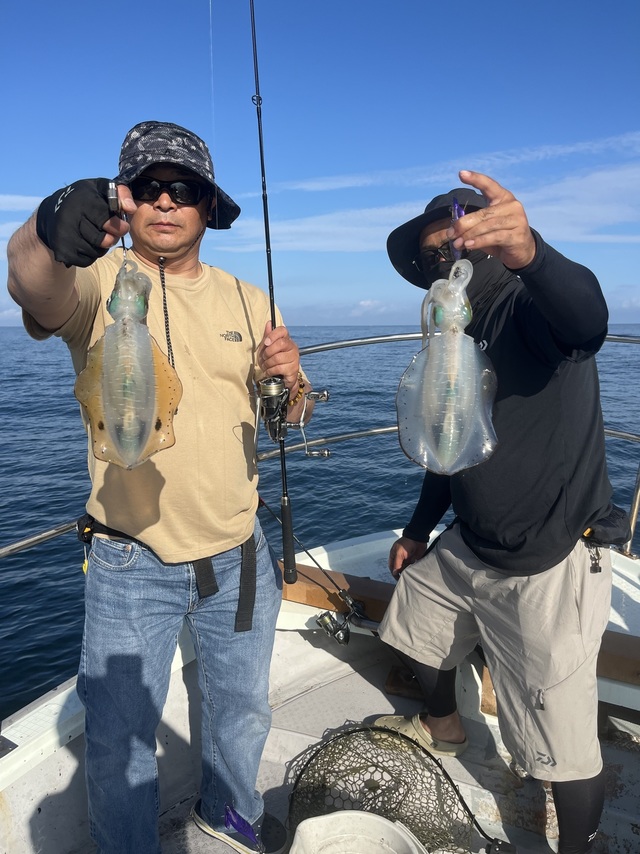 イカ(アオリイカ)