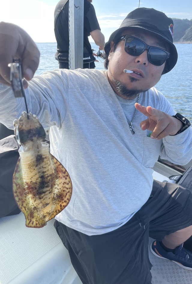 イカ(アオリイカ)