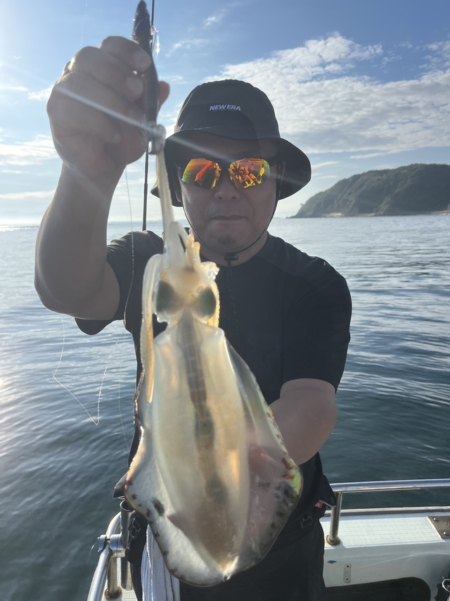 イカ(アオリイカ)