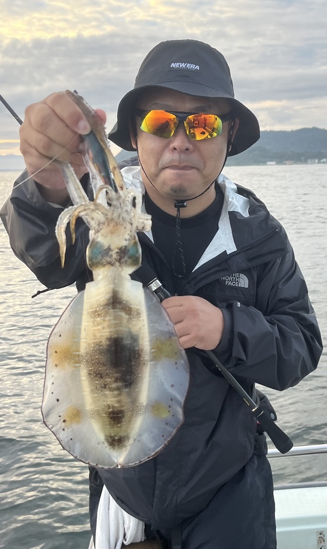 イカ(アオリイカ)