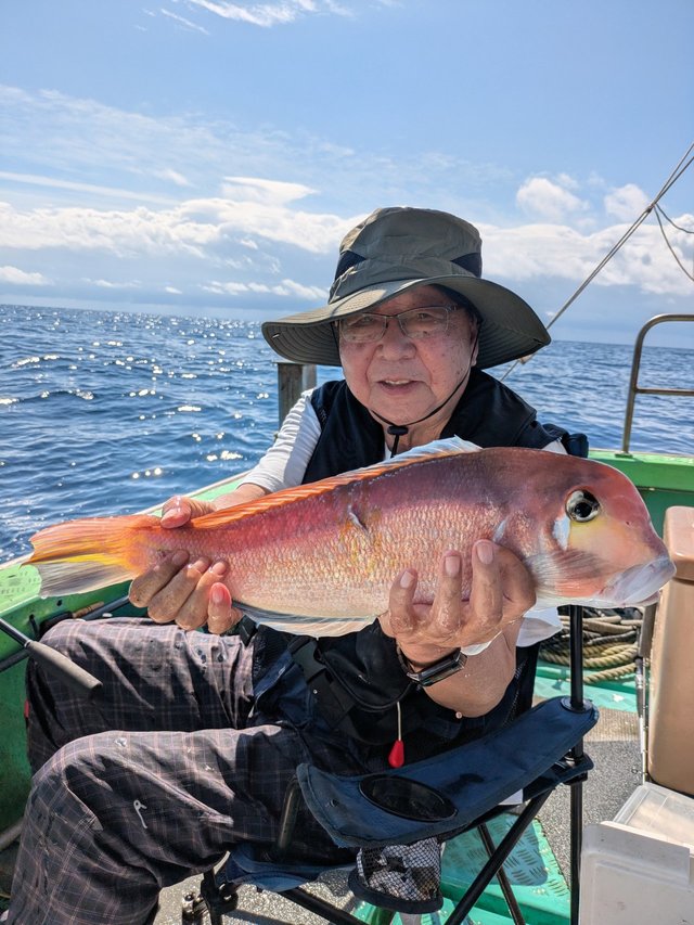 アマダイ(アカアマダイ)