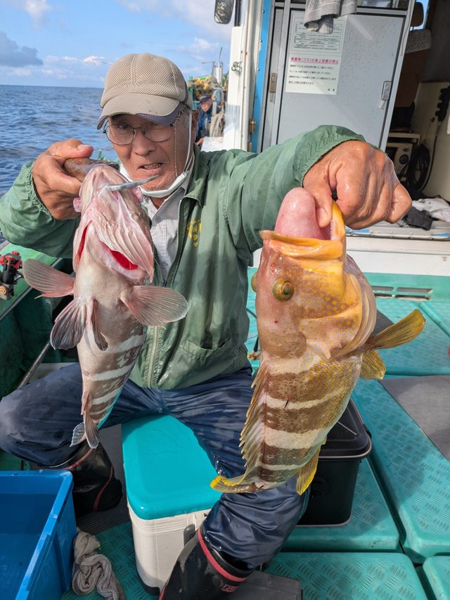 マハタ・アオハタ