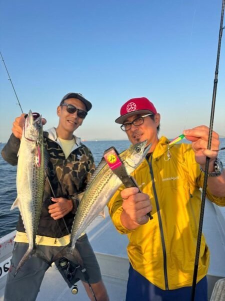 サゴシ(サワラ)