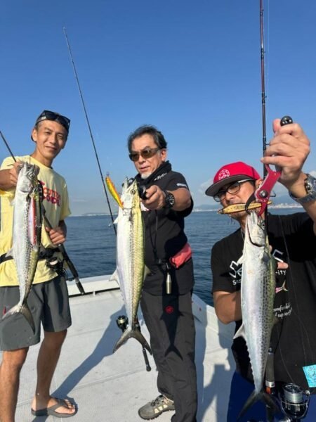 サゴシ(サワラ)