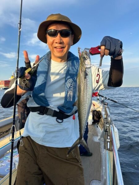 サゴシ(サワラ)