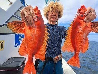 キントキ(チカメキントキ)