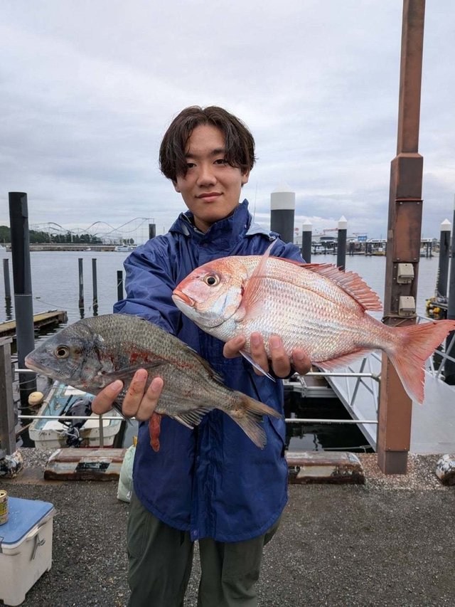 マダイ・クロダイ