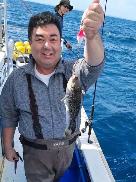 ショウサイフグ