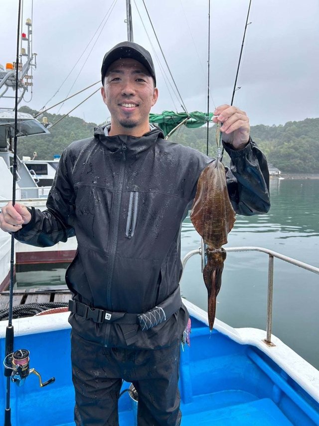 イカ(アオリイカ)