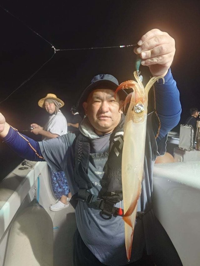 イカ(ケンサキイカ)