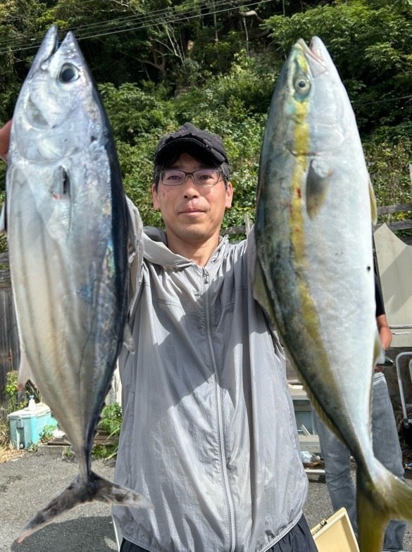 イナダ(ブリ)・ホンガツオ(カツオ)