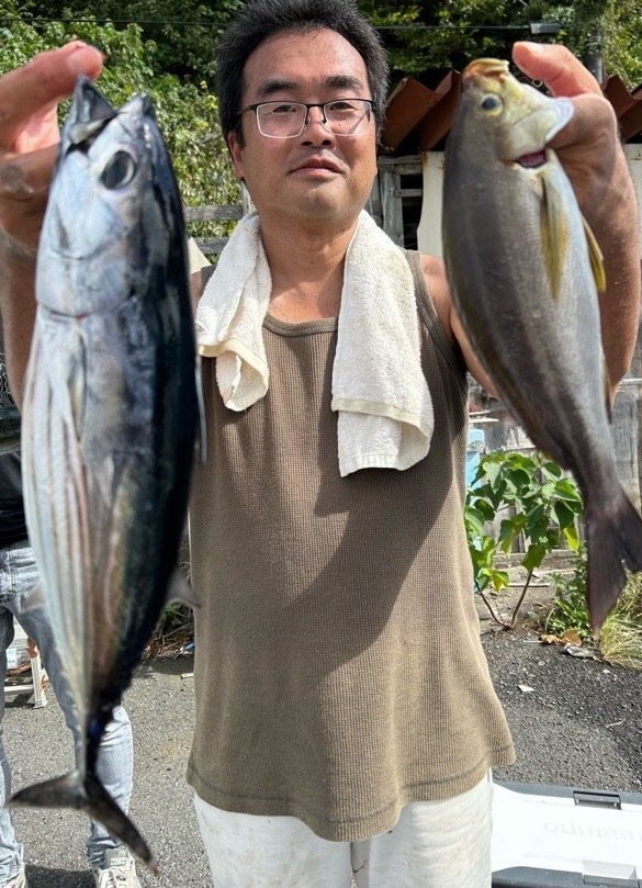 イサキ・ホンガツオ(カツオ)