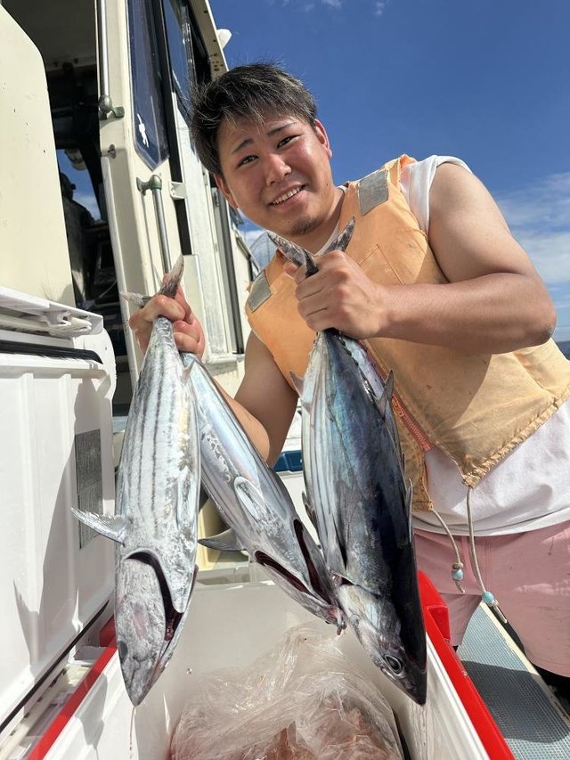 ホンガツオ(カツオ)