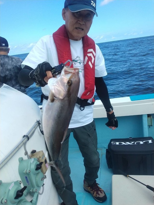 ネリコ(カンパチ)