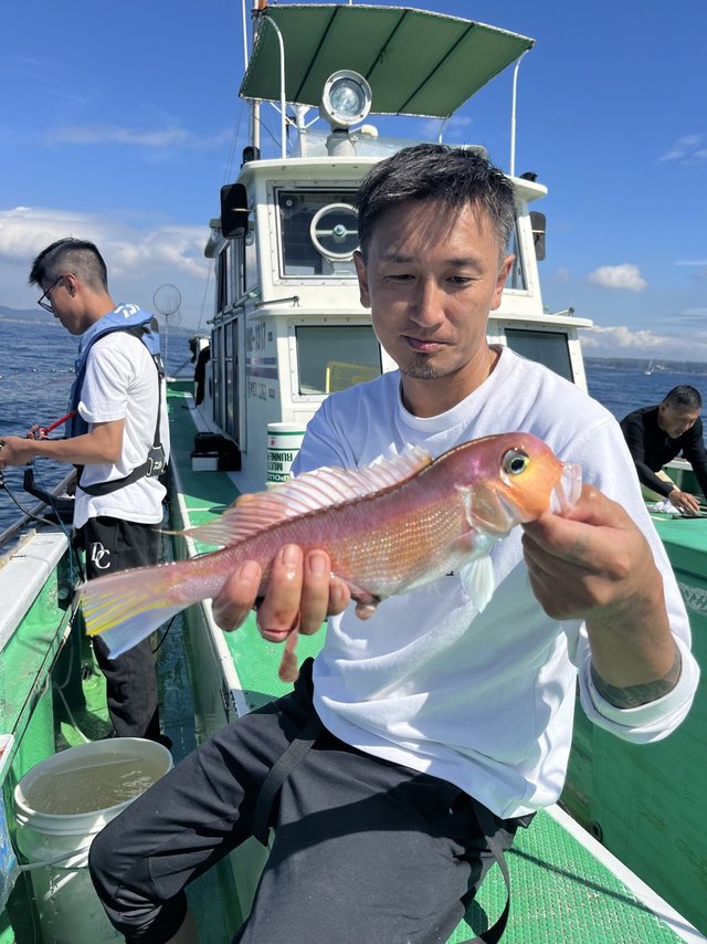 アマダイ(アカアマダイ)