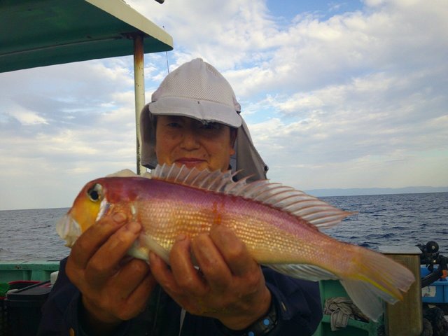 アマダイ(アカアマダイ)