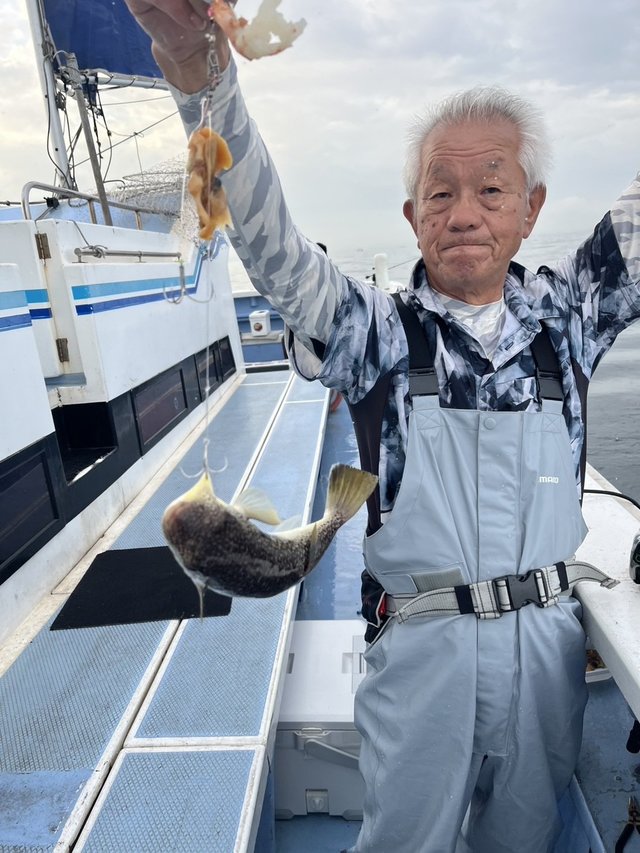 ショウサイフグ