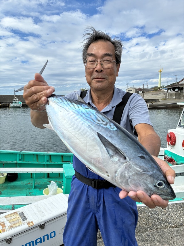 スマガツオ(スマ)