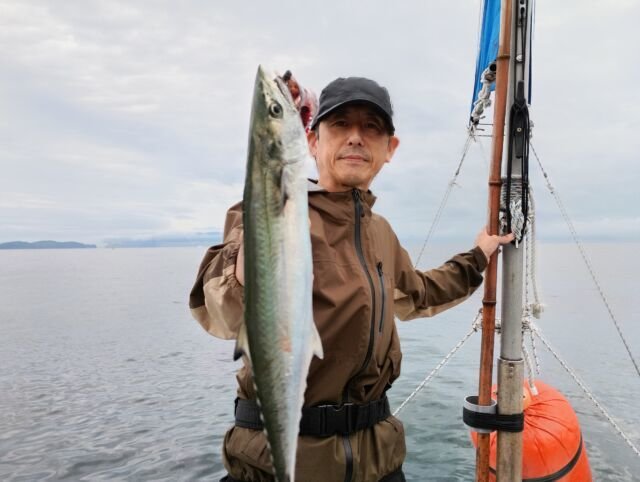 サゴシ(サワラ)