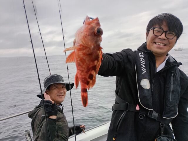 ガシラ(カサゴ)