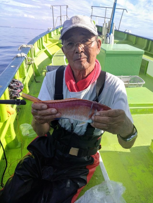 アマダイ(アカアマダイ)