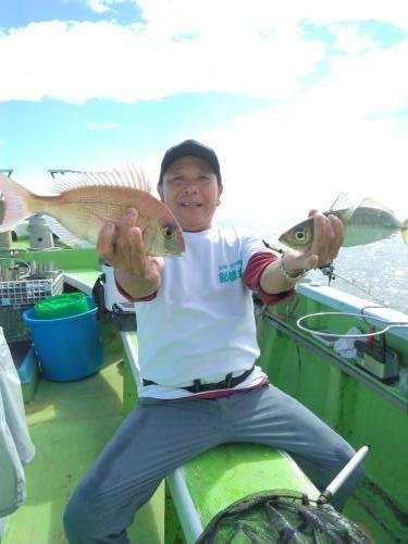 マダイ・アジ(マアジ)