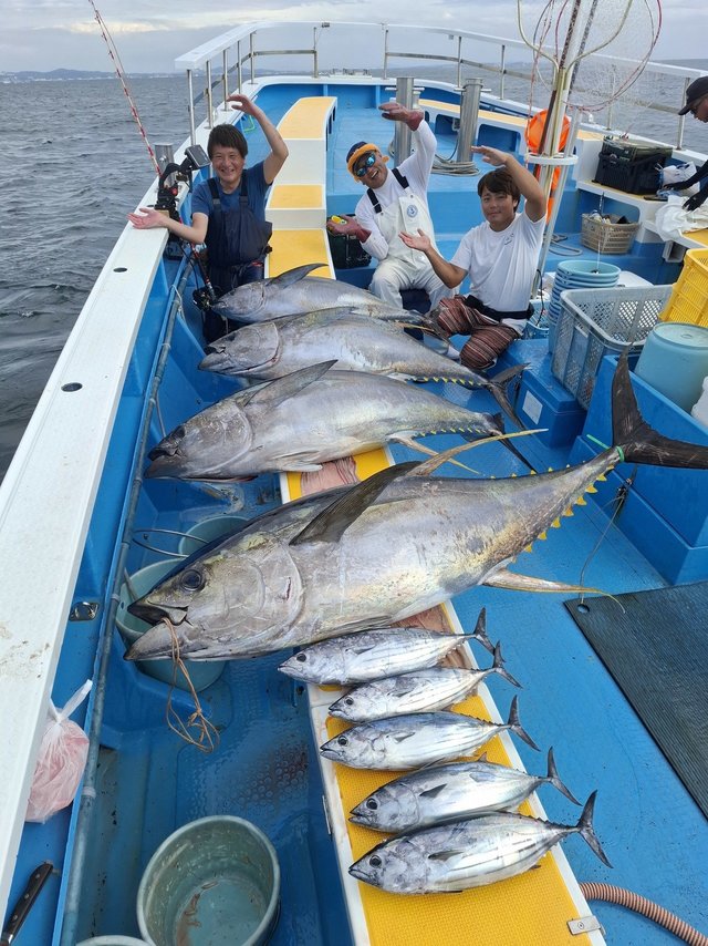 キハダ・カツオ