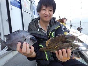 サンバソー(イシダイ)・カワハギ
