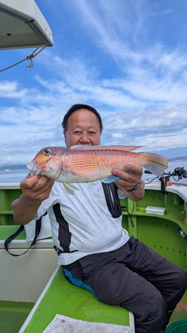 アマダイ(アカアマダイ)