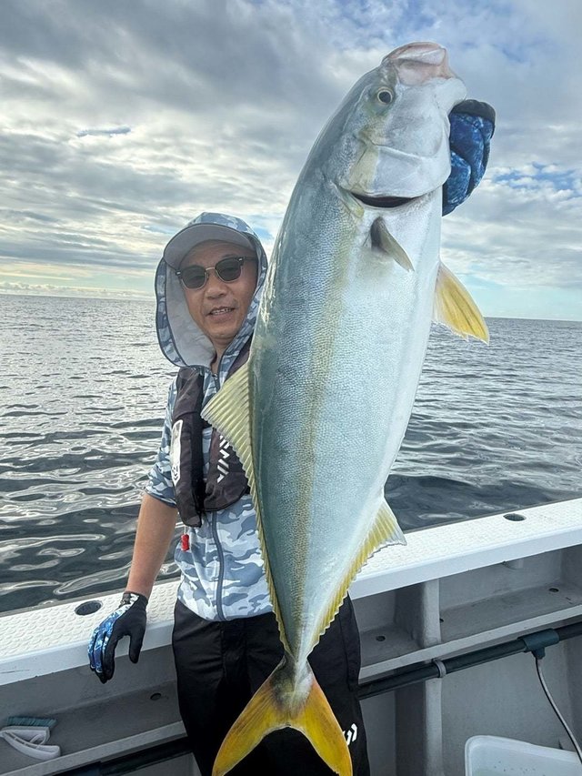 サンパク(ブリ)