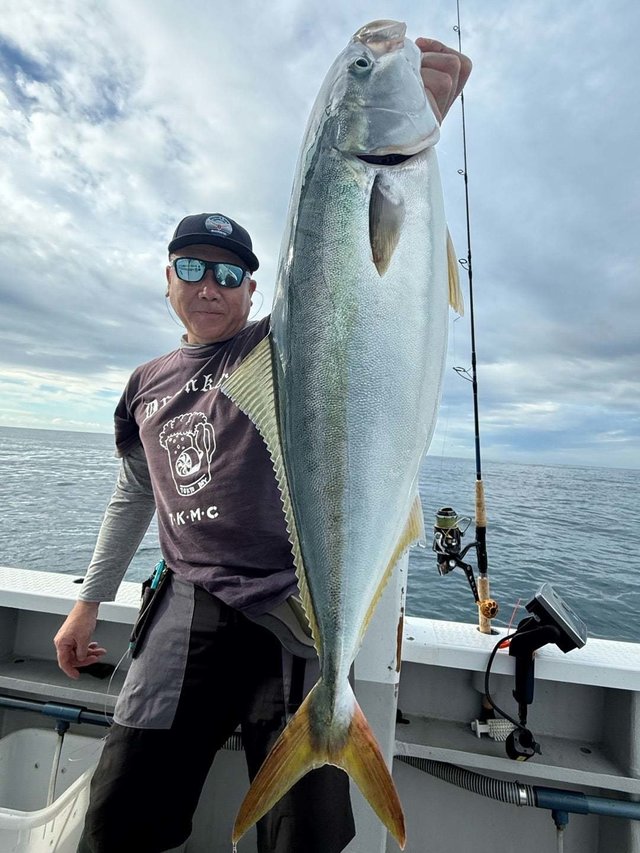 サンパク(ブリ)