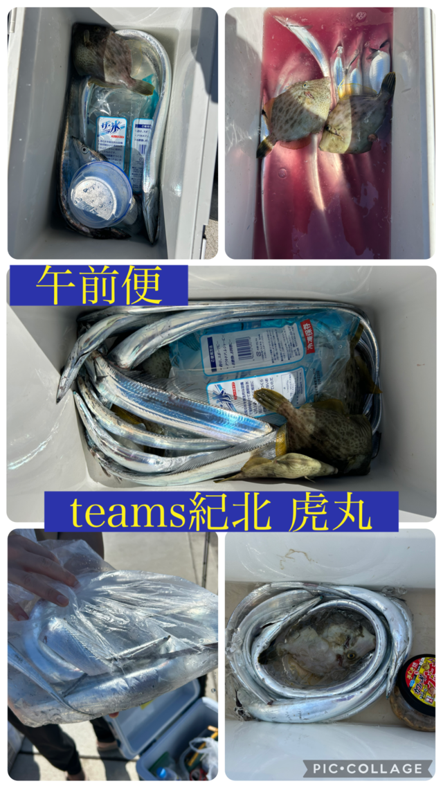 タチウオ・カワハギ