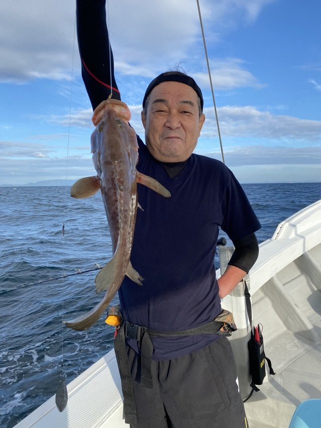 アコウ(キジハタ)