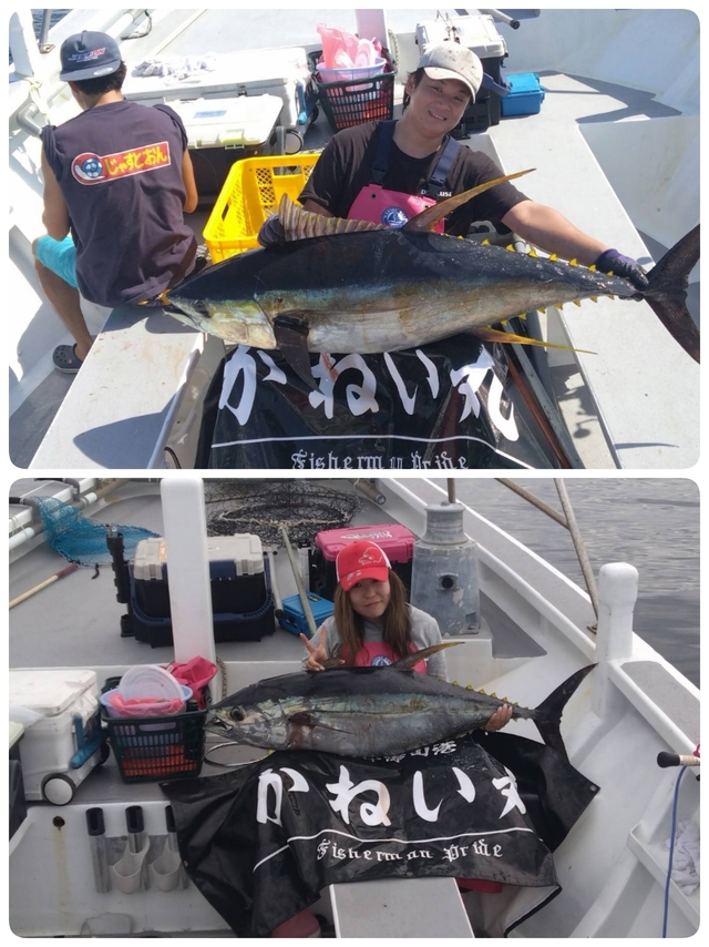 キハダマグロ(キハダ)